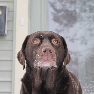 Meet your Posher, Gwen